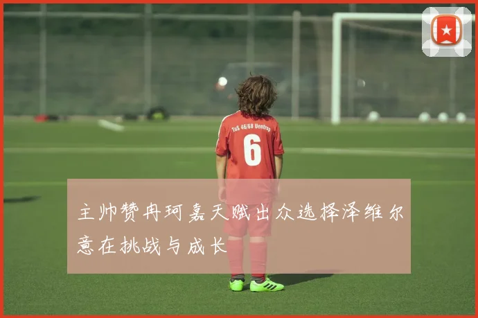 主帅赞冉珂嘉天赋出众选择泽维尔意在挑战与成长