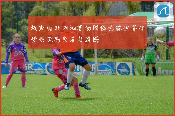 埃斯特旺泪洒赛场因伤无缘世界杯梦想深感失落与遗憾