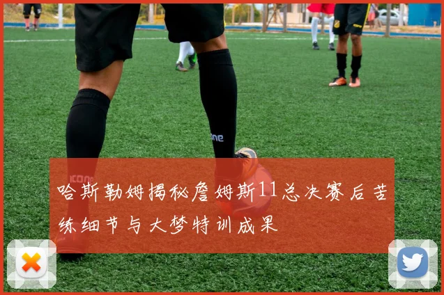 哈斯勒姆揭秘詹姆斯11总决赛后苦练细节与大梦特训成果