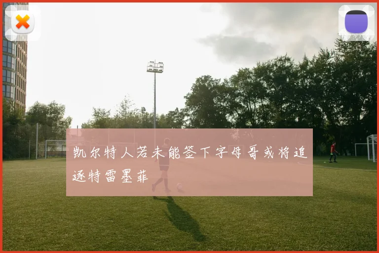 凯尔特人若未能签下字母哥或将追逐特雷墨菲